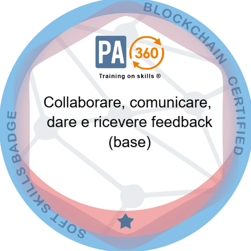 Badge pubblico 67553